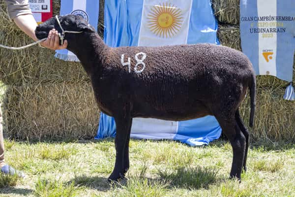 Lote SANTA INES P.P.C.