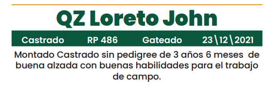Lote LOTE 32
