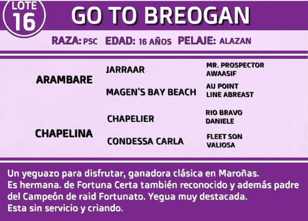 Lote GO TO BREOGAN