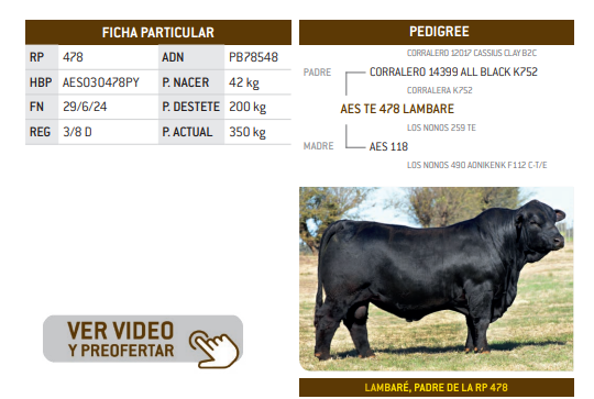 Lote LOTE 13