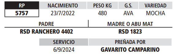 Lote LOTE 4