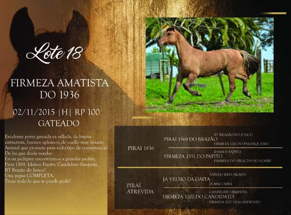 Lote RP 100 - FIRMEZA AMATISTA DO 1936