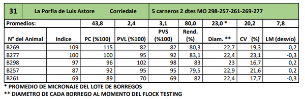 Lote 5 carneros 2 dtes MO 298-257-261-269-277