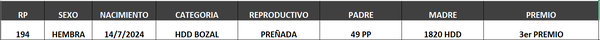 Lote LOTE 21- BOZAL