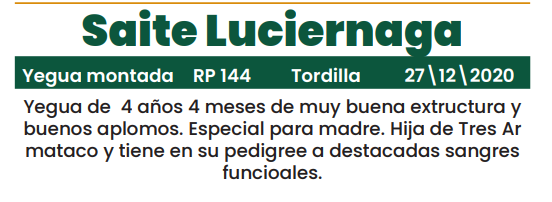 Lote LOTE 35