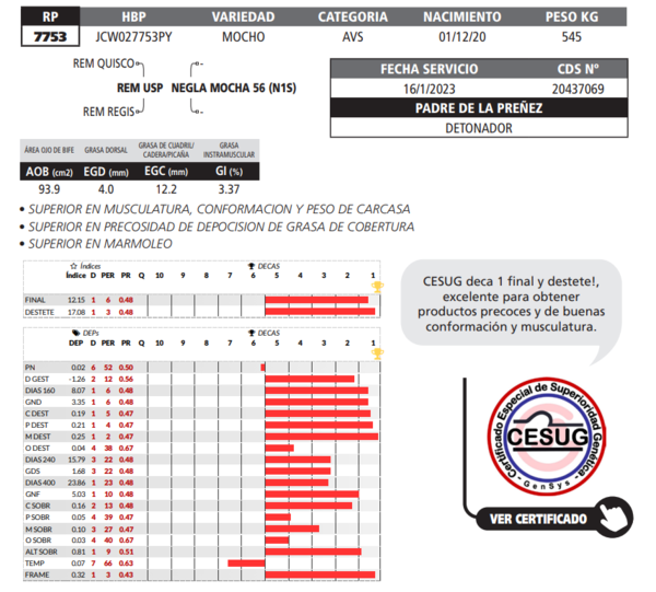 Lote LOTE 28