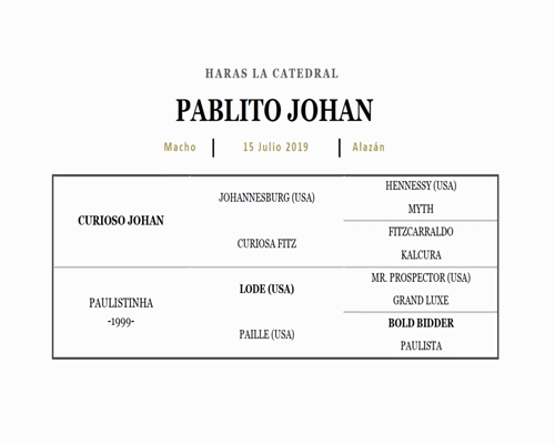 Lote MILONGUERA JOHAN (CURIOSO JOHAN - MILLE UNA NOTE)