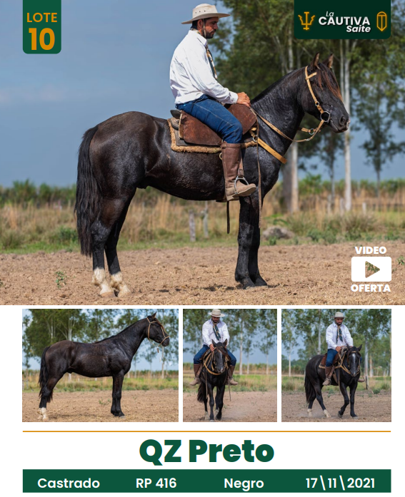 Lote LOTE 10