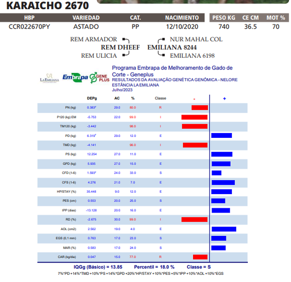 Lote LOTE 7