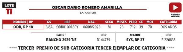 Lote LOTE 11