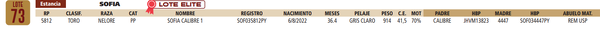 Lote LOTE 73
