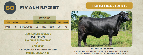 Lote LOTE 60