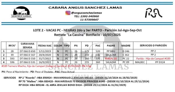 Lote VACAS PC
