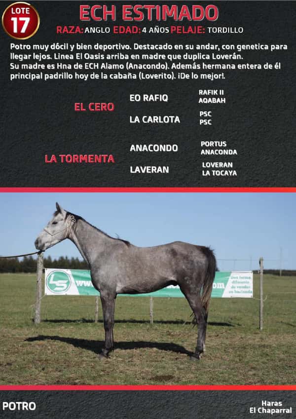 Lote ECH ESTIMADO