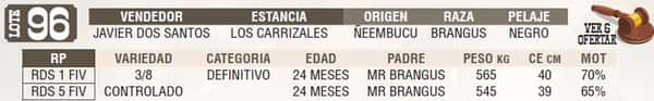 Lote LOTE 96 - EN VIVO