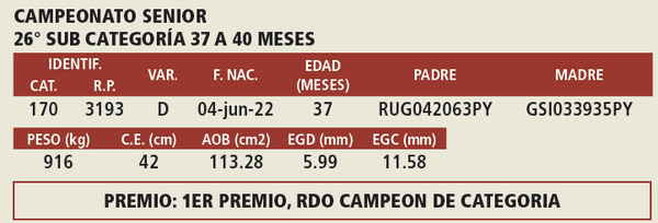Lote LOTE 11