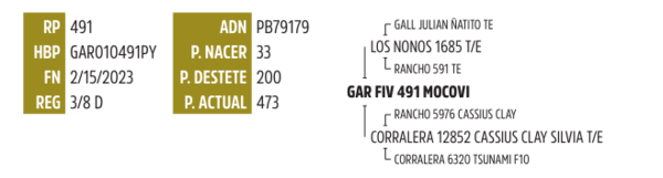 Lote LOTE 3