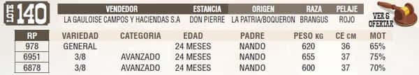 Lote LOTE 140 - EN VIVO