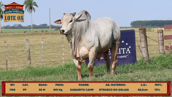 Lote LOTE 8