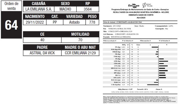 Lote LOTE 64