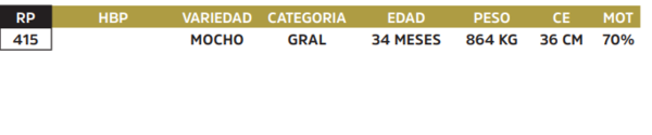 Lote LOTE 48