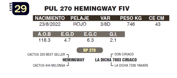 Lote LOTE 29