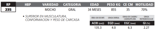 Lote LOTE 10