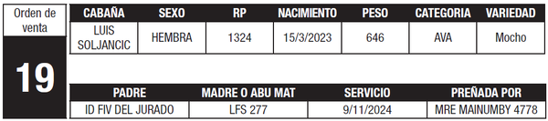 Lote LOTE 19