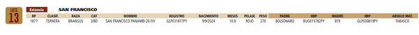 Lote LOTE 13