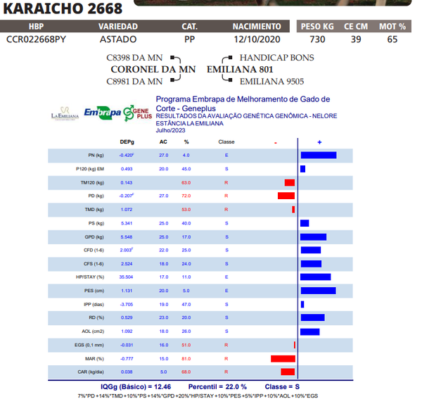 Lote LOTE 30