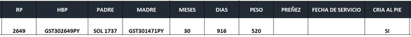 Lote LOTE 8