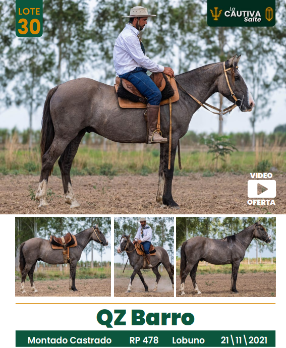 Lote LOTE 30