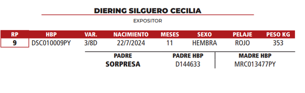 Lote LOTE 18