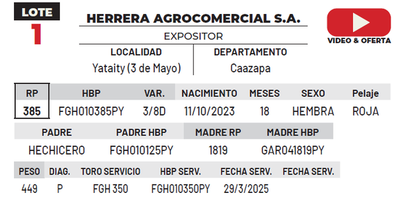 Lote LOTE 1
