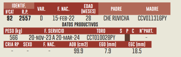 Lote LOTE 5