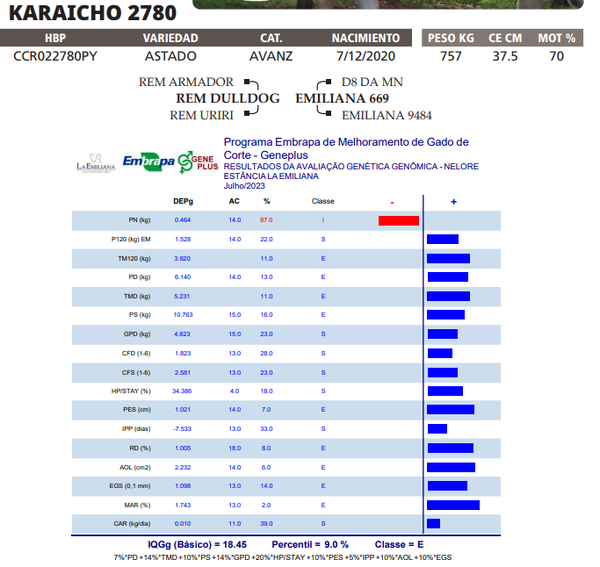 Lote LOTE 80