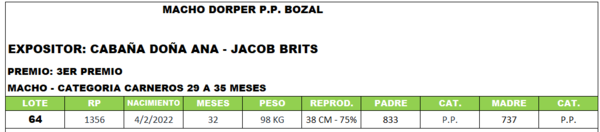 Lote LOTE 64