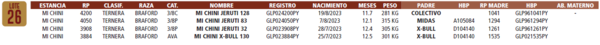 Lote LOTE 26