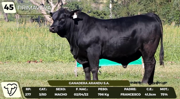 Lote LOTE 45- CAMPO