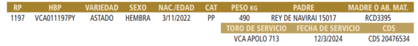 Lote LOTE 27