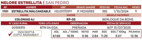 Lote LOTE 43