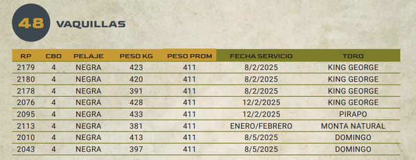 Lote LOTE 48