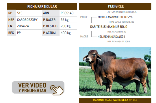 Lote LOTE 23
