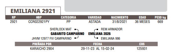 Lote LOTE 59