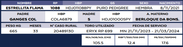 Lote LOTE 36