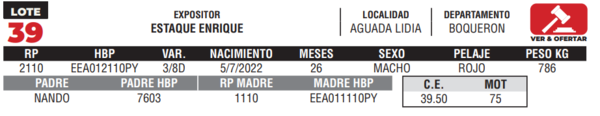 Lote LOTE 39- CAMPO