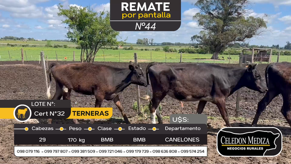 Lote 29 Terneras en Santa Lucía del Este, Canelones