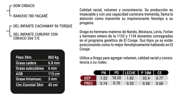 Lote "CABAÑA EL CORAJE" - DRAGO - Del Infante 1158 T/E
