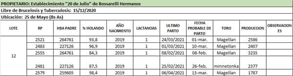Lote Lote 12