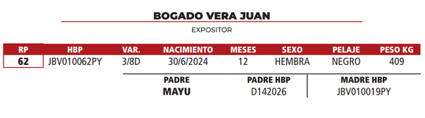 Lote LOTE 27